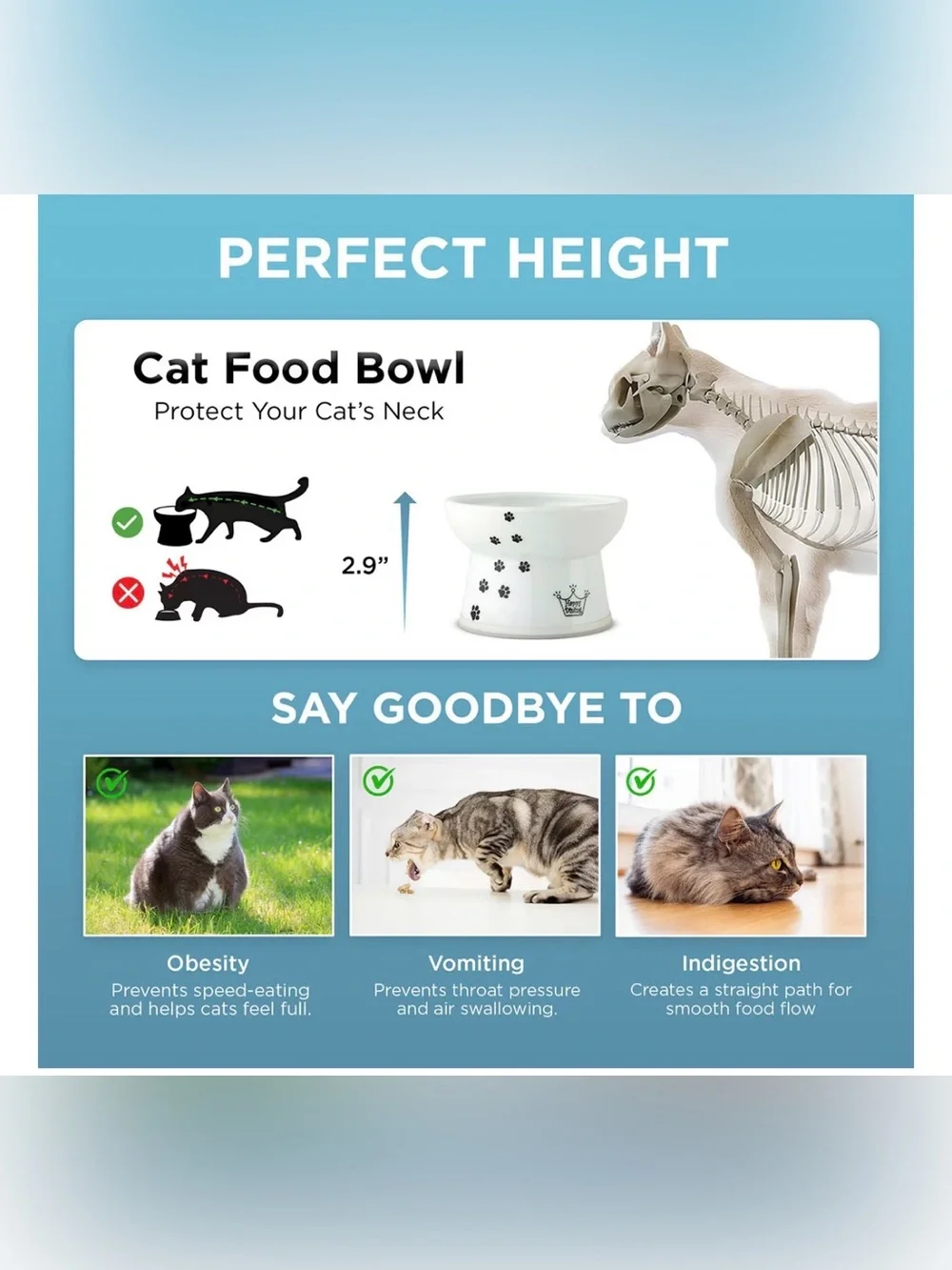 Elevated Ceramic Cat Food Bowl & Water Bowl Set